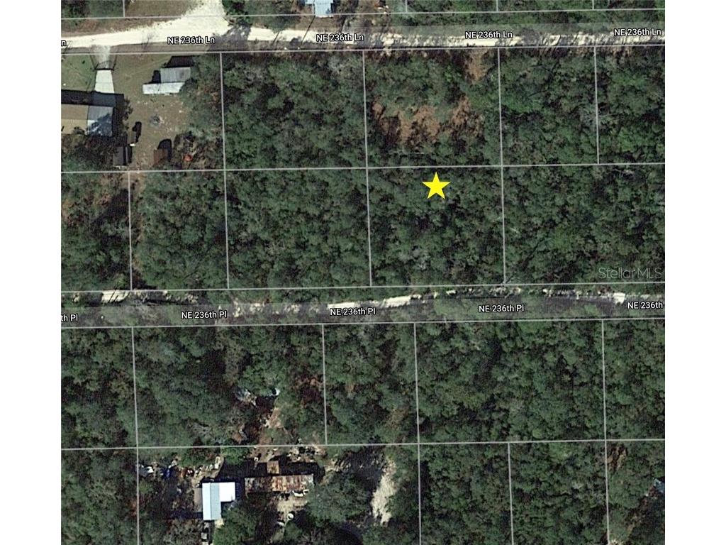 NE 236th Place Fort Mc Coy FL 32134 O5956829 image1