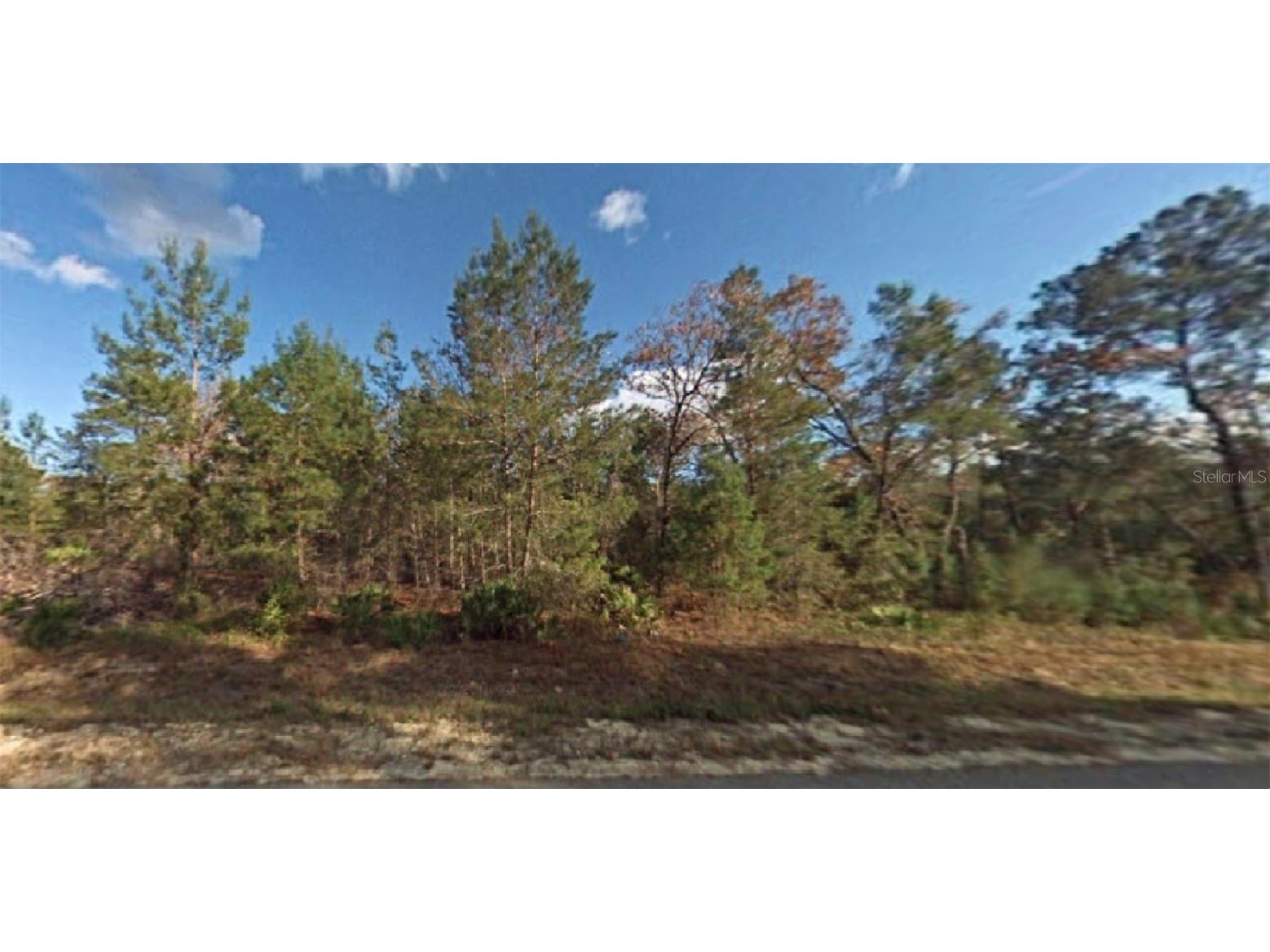 NE 237th Lane Orange Springs FL 32182 O6090436 image1