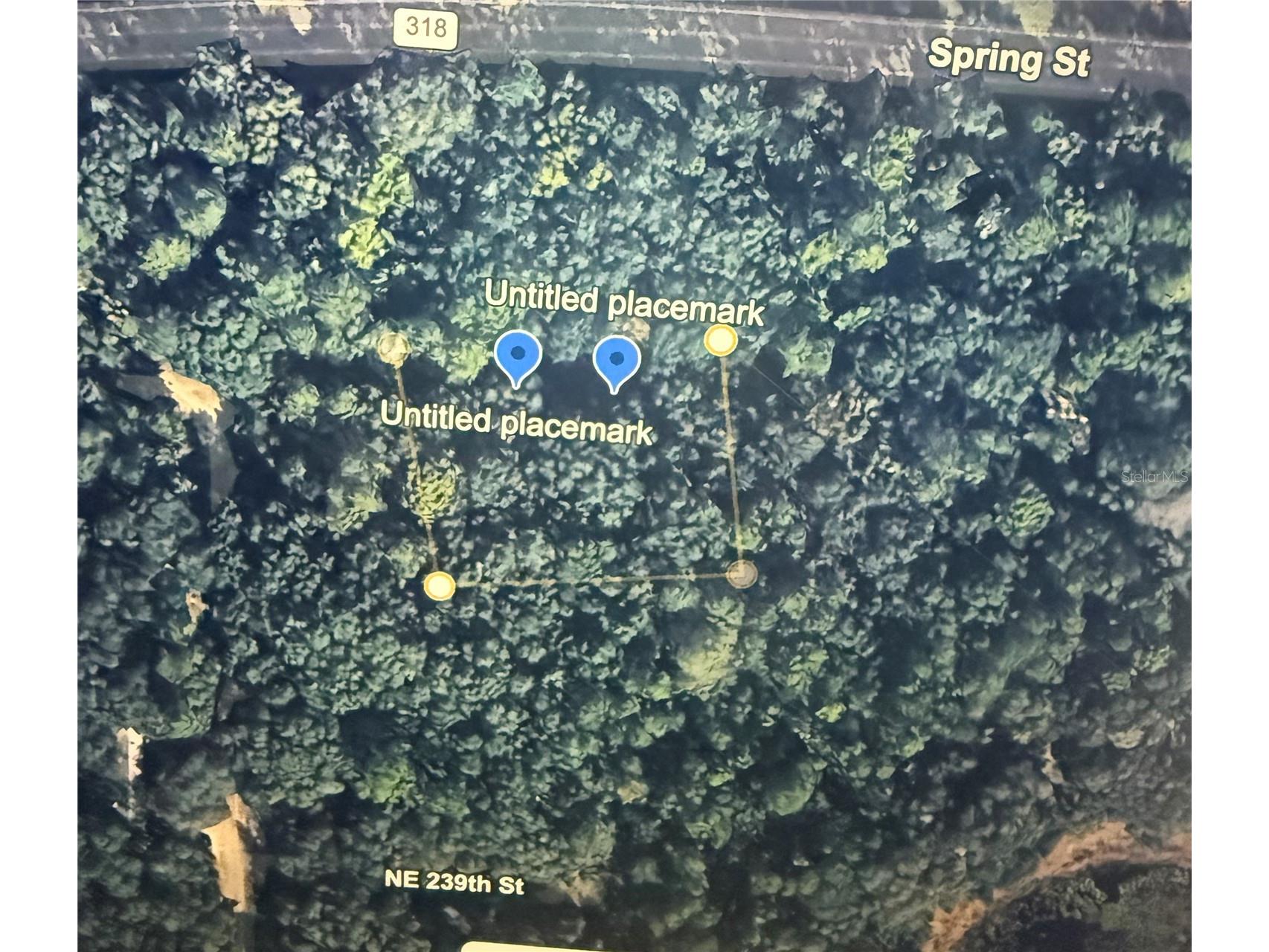NE 239th Place Orange Springs FL 32182 O6396323 image1