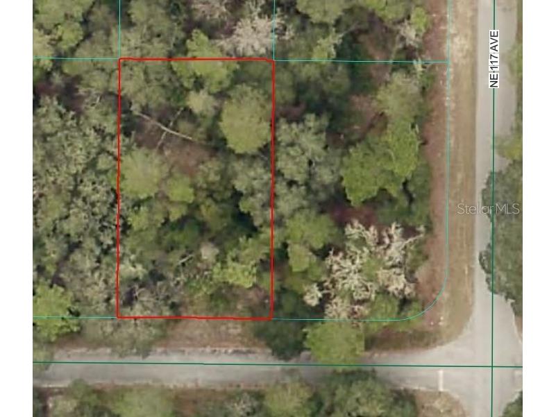 Ne 239th St Fort Mc Coy FL 32134 OM716845 image1