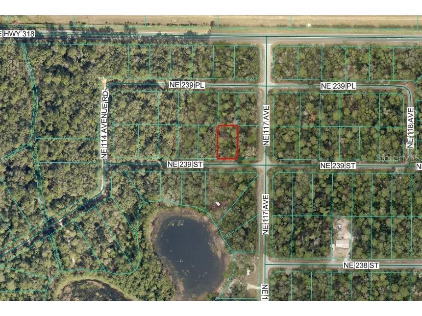 Ne 239th St Fort Mc Coy FL 32134 OM716845 image2