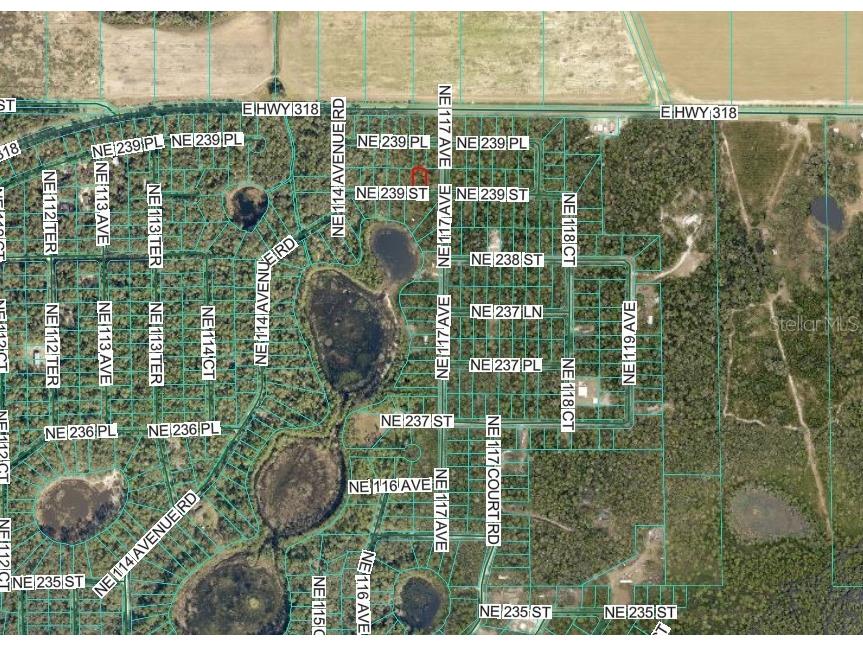 Ne 239th St Fort Mc Coy FL 32134 OM716845 image3