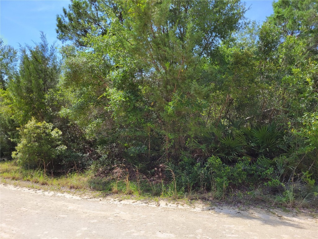 NE 242 Avenue Salt Springs FL 32134 - LITTLE LAKE KERR OM664918 image1