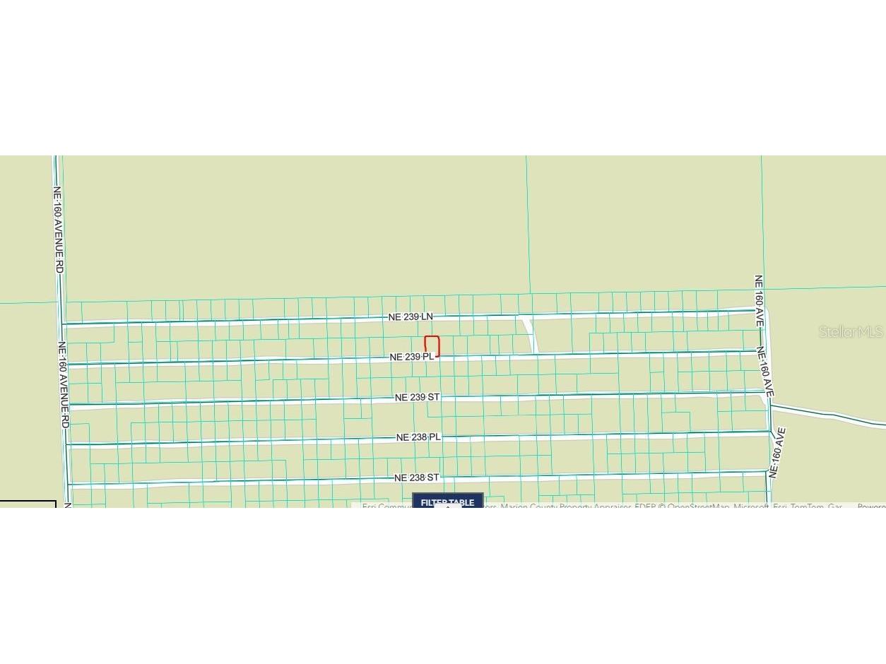 Ne 243rd Place Rd Fort Mc Coy FL 32134 O6388635 image2