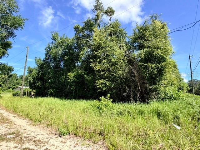 Ne 249th Court Salt Springs FL 32134 O6426555 image1
