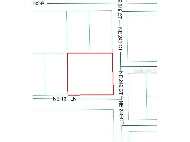 Ne 249th Court Salt Springs FL 32134 O6426555 image2