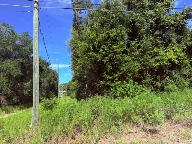 Ne 249th Court Salt Springs FL 32134 O6426555 image3