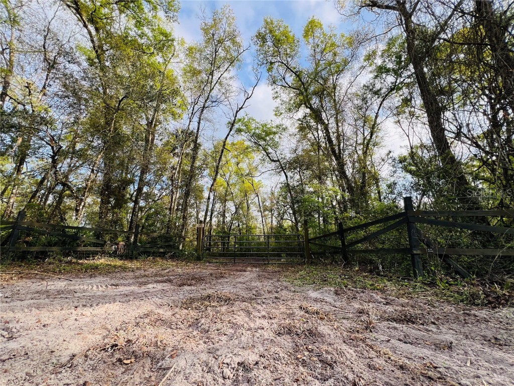 NE 262nd Ave Old Town FL 32680 W7861798 image1