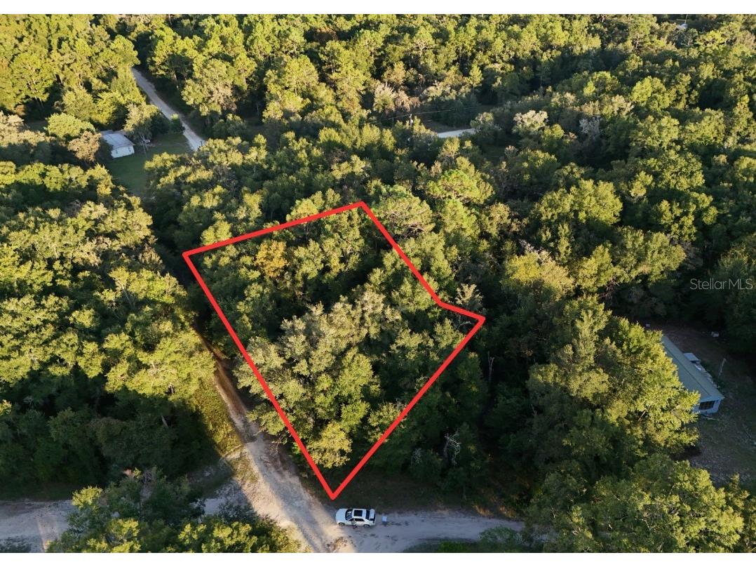 NE 2nd Place Williston FL 32696 TB8432044 image1