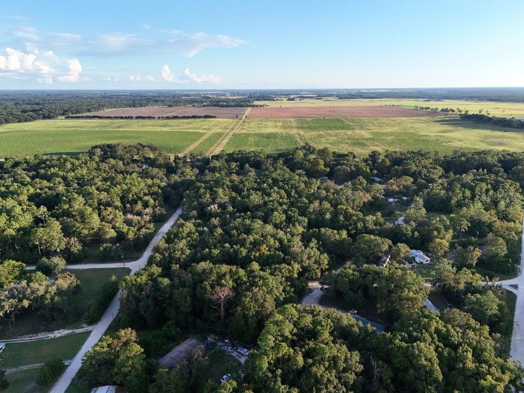 NE 2nd Place Williston FL 32696 TB8432044 image10