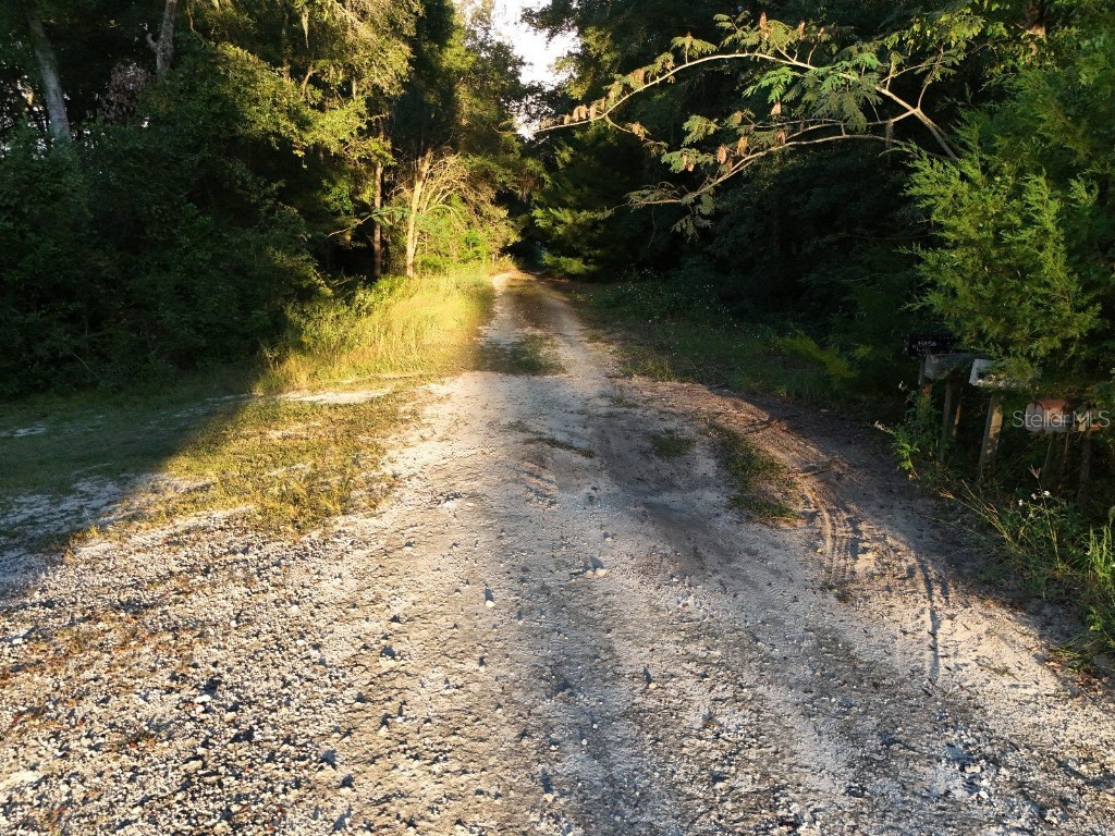 NE 2nd Place Williston FL 32696 TB8432044 image12