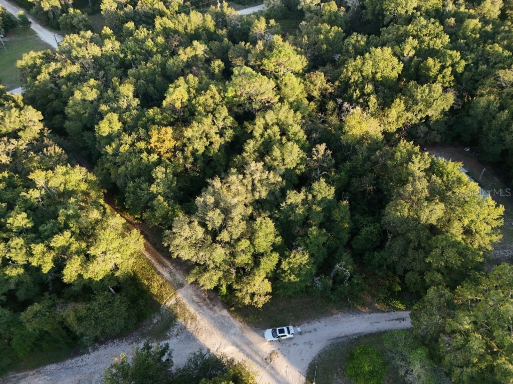 NE 2nd Place Williston FL 32696 TB8432044 image13