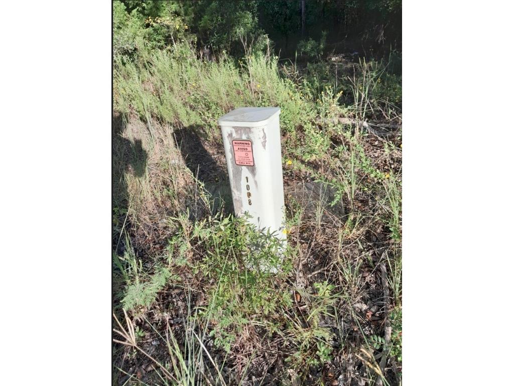 NE 2nd Place Williston FL 32696 TB8432044 image14