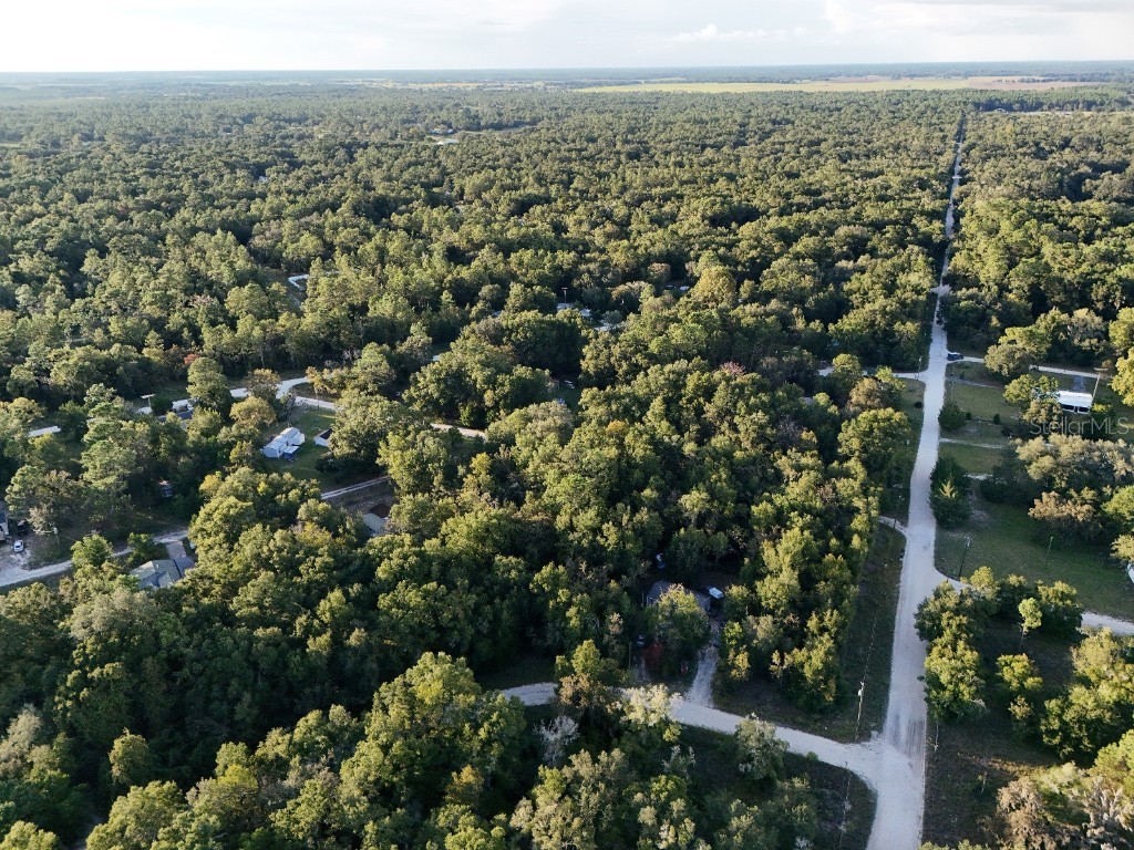 NE 2nd Place Williston FL 32696 TB8432044 image2