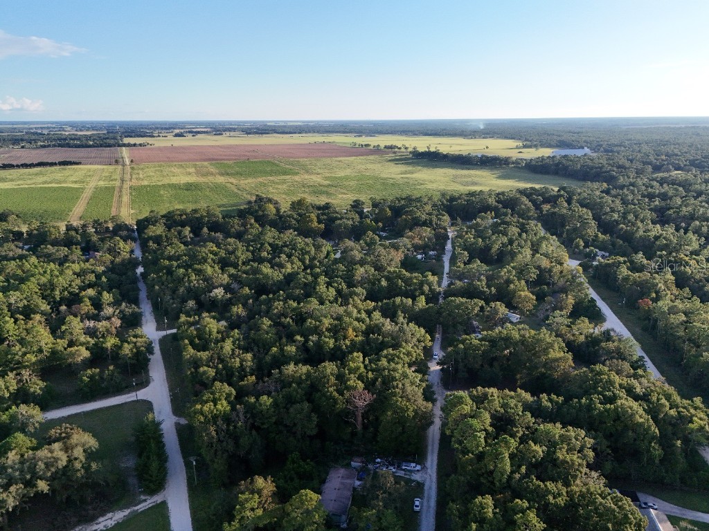 NE 2nd Place Williston FL 32696 TB8432044 image3