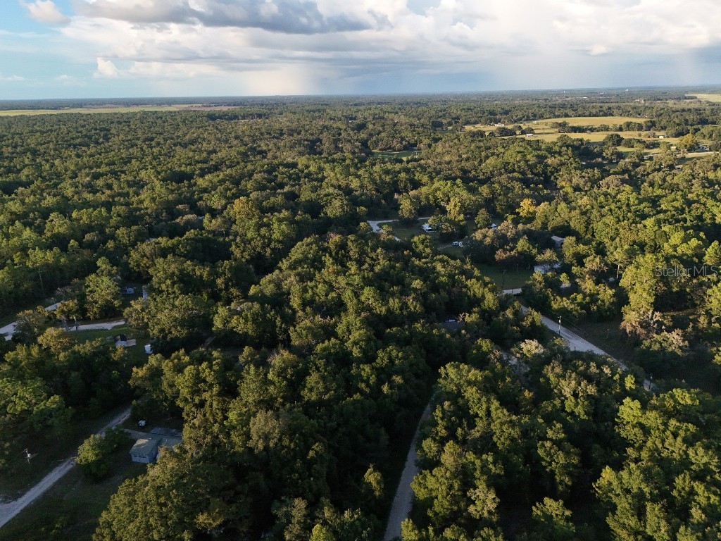 NE 2nd Place Williston FL 32696 TB8432044 image5