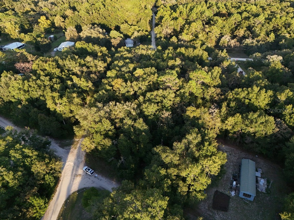 NE 2nd Place Williston FL 32696 TB8432044 image6