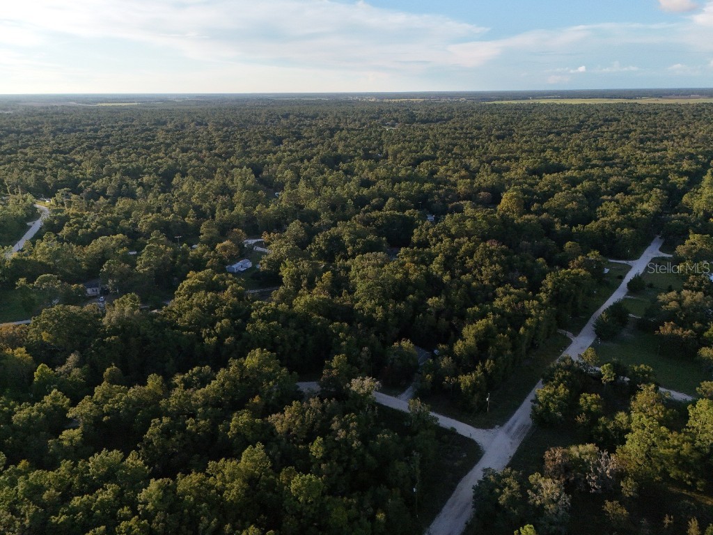 NE 2nd Place Williston FL 32696 TB8432044 image7
