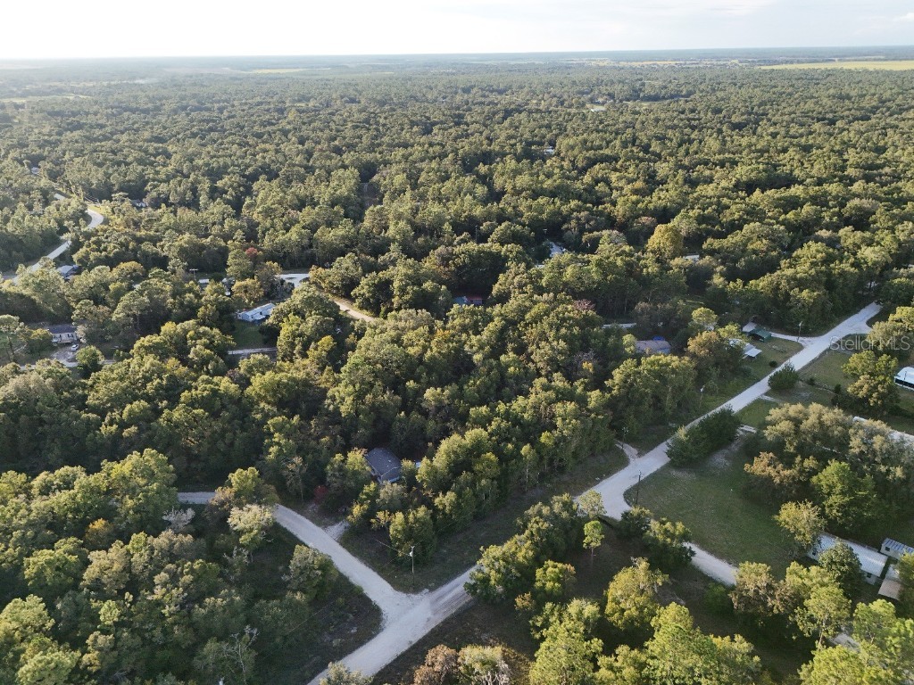 NE 2nd Place Williston FL 32696 TB8432044 image8