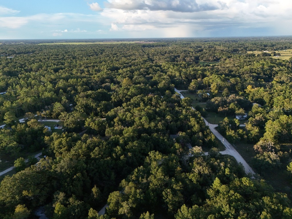 NE 2nd Place Williston FL 32696 TB8432044 image9