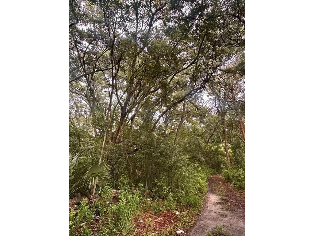 NE 30th Place Williston FL 32696 GC525887 image1