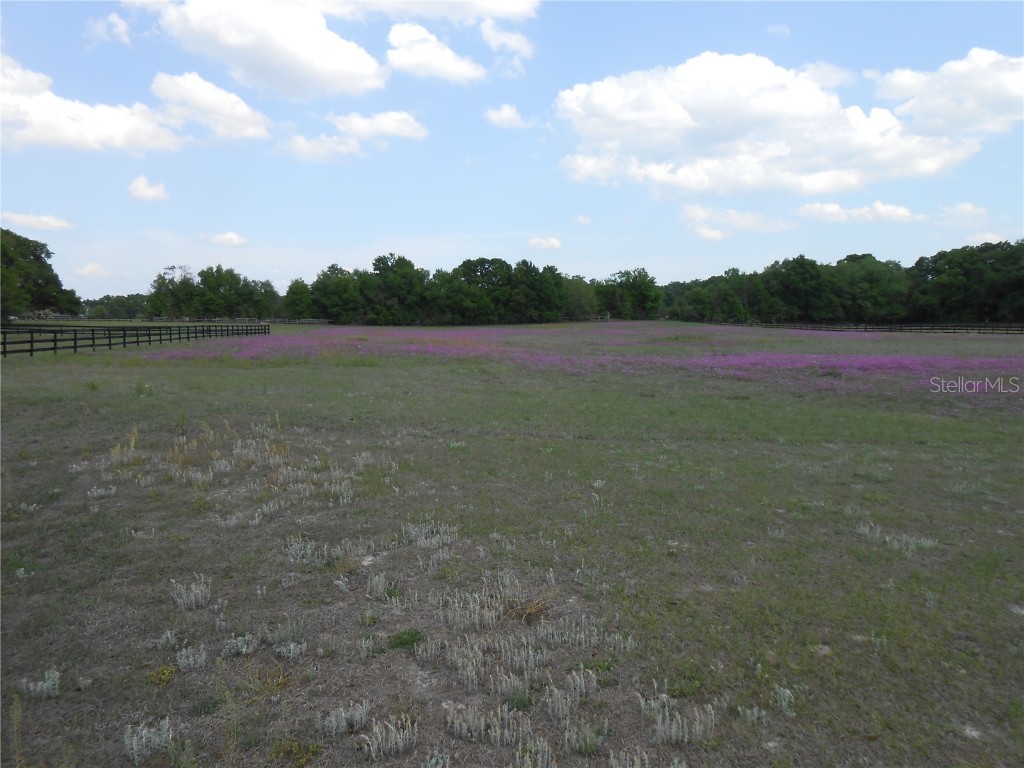 NE 31 Terrace Ocala FL 34479 OM656751 image1