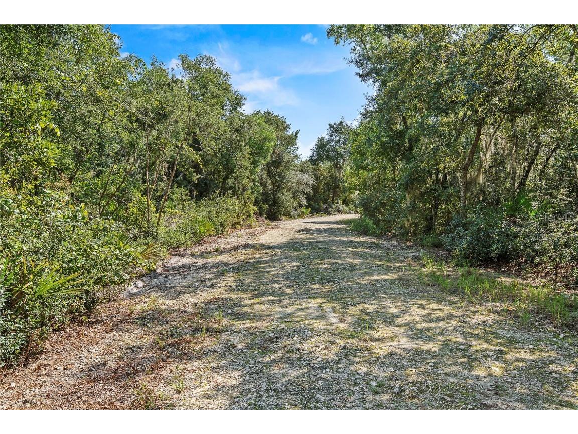 NE 310th Avenue Fort Mc Coy FL 32134 - Lake George G5087069 image1