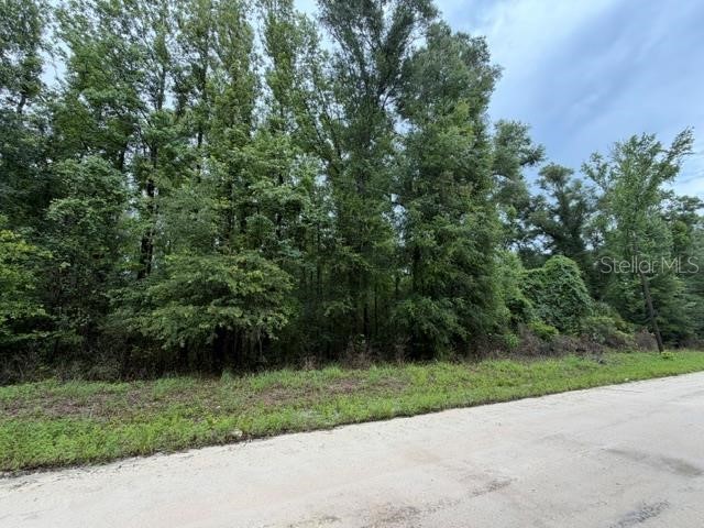 NE 312th Avenue Old Town FL 32680 GC541762 image1