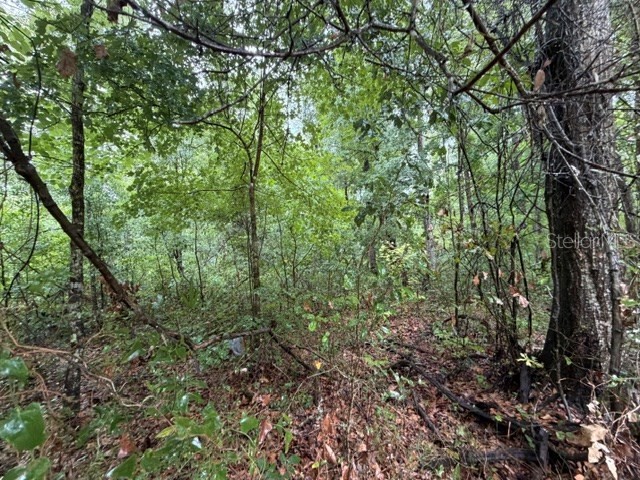 NE 312th Avenue Old Town FL 32680 GC541762 image10