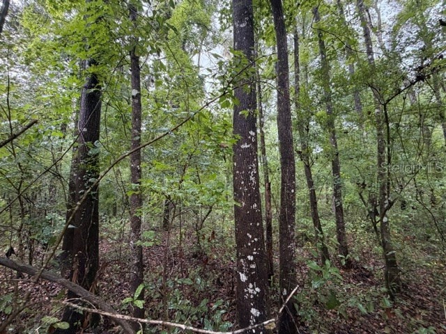 NE 312th Avenue Old Town FL 32680 GC541762 image5