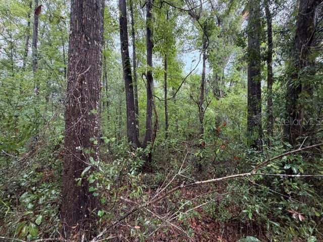 NE 312th Avenue Old Town FL 32680 GC541762 image7