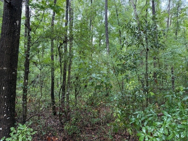 NE 312th Avenue Old Town FL 32680 GC541762 image8