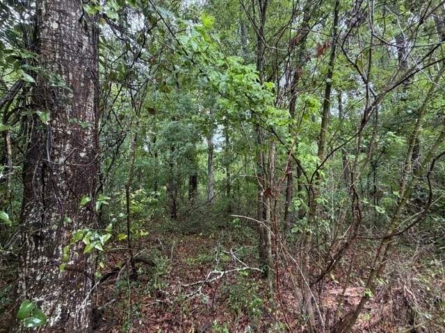 NE 312th Avenue Old Town FL 32680 GC541762 image9