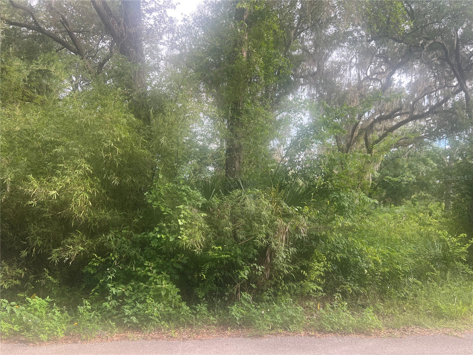 NE 32nd Street Silver Springs FL 34488 G5113869 image1