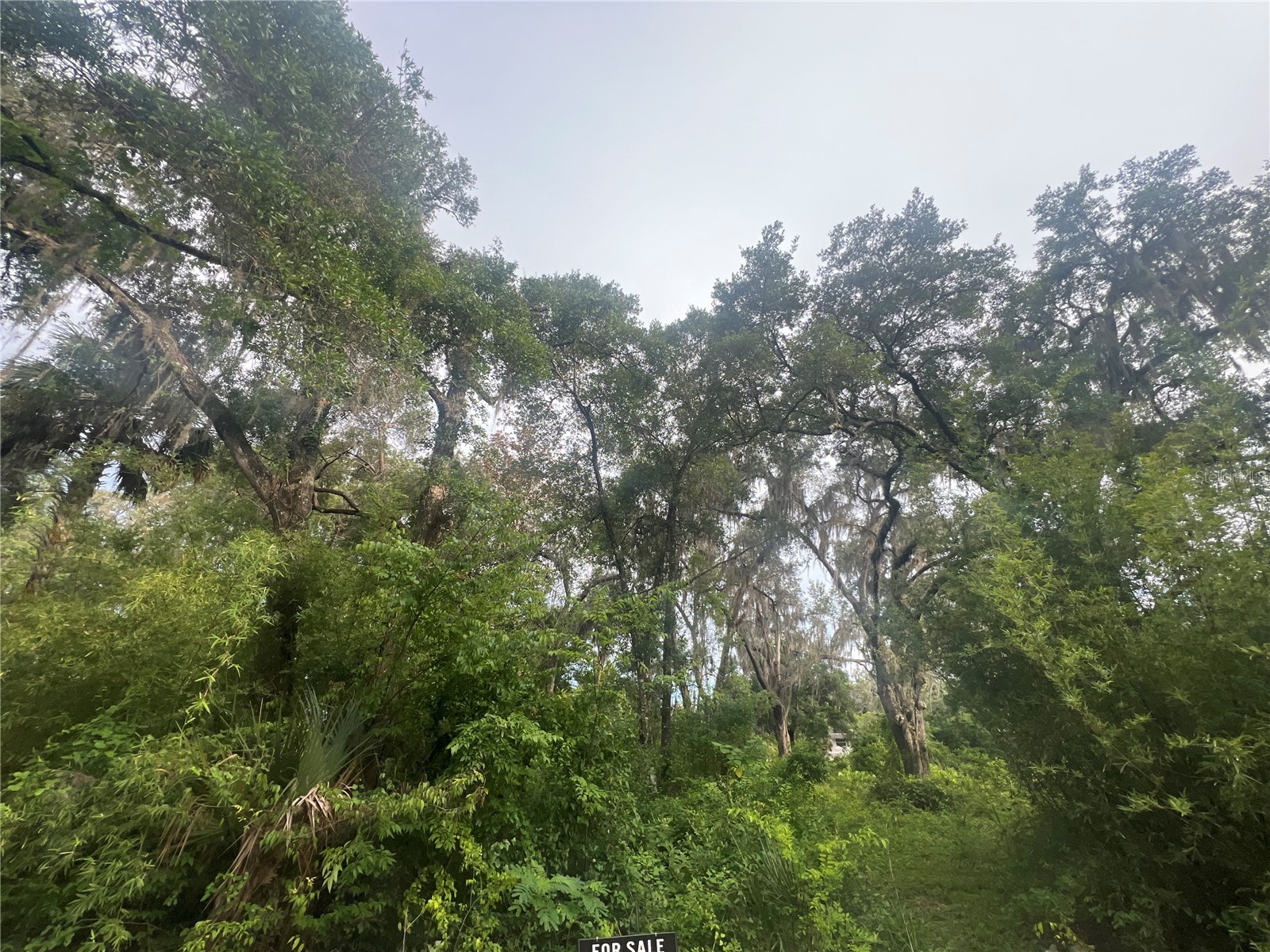 NE 32nd Street Silver Springs FL 34488 G5113869 image2