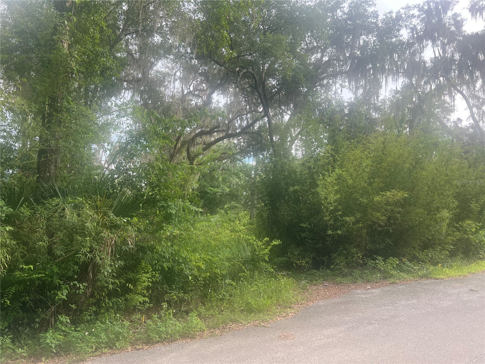 NE 32nd Street Silver Springs FL 34488 G5113869 image3