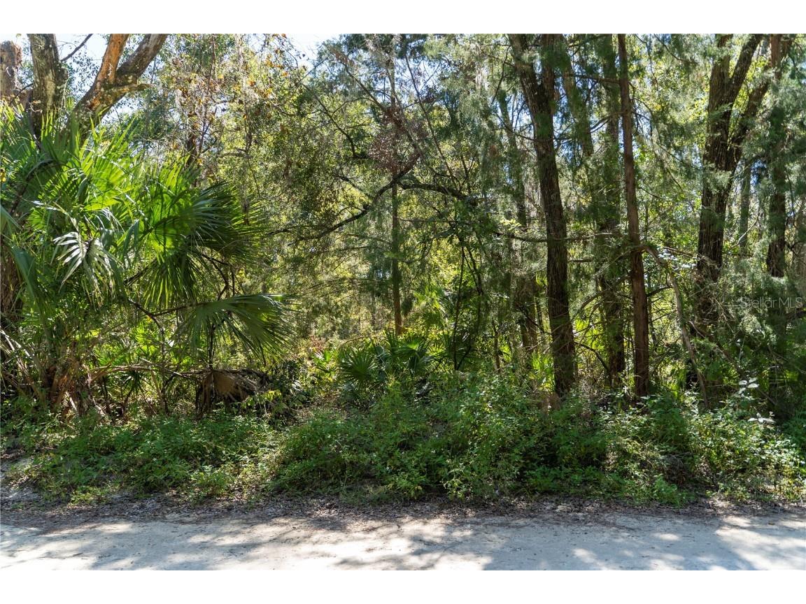 Ne 358th Ave Old Town FL 32680 TB8316716 image1
