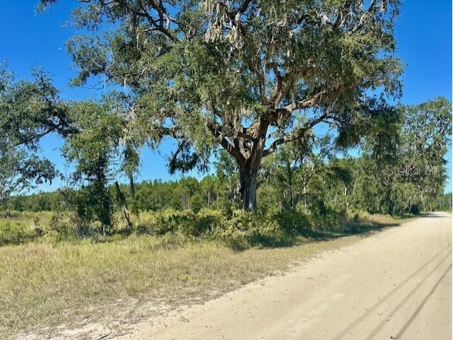 NE 35th Ave Bronson FL 32621 GC535346 image1