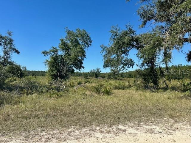 NE 35th Ave Bronson FL 32621 GC535346 image2