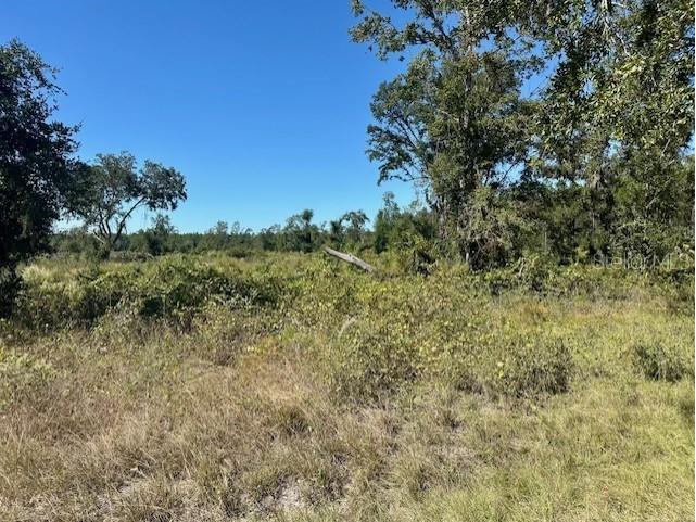 NE 35th Ave Bronson FL 32621 GC535346 image3