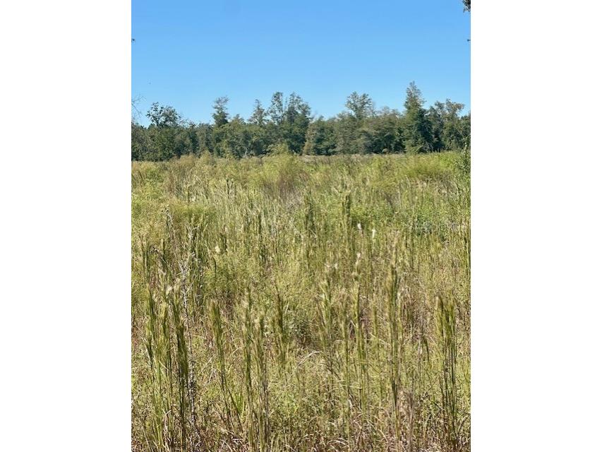 NE 35th Ave Bronson FL 32621 GC535346 image5