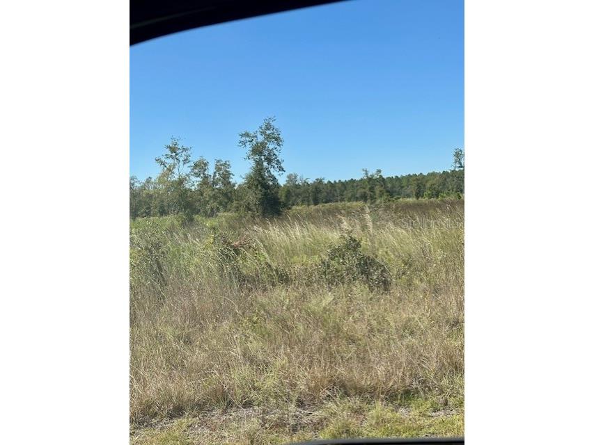 NE 35th Ave Bronson FL 32621 GC535346 image6