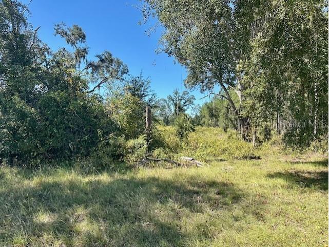 NE 35th Ave Bronson FL 32621 GC535346 image7