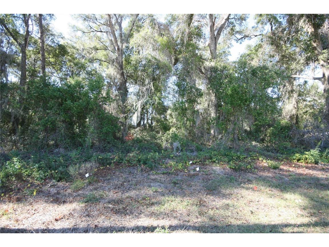 Ne 36 Ave Tbd Ocala FL 34474 TB8366518 image5