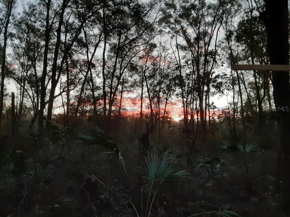 NE 362nd Avenue #LOT 30 Old Town FL 32680 OM649056 image1