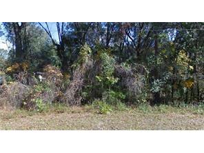 NE 36th Avenue Citra FL 32113 O6170564 image1