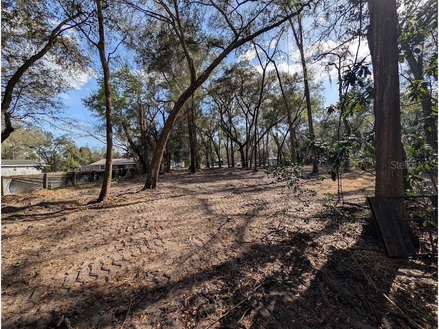 NE 36th Street Ocala FL 34479 OM719848 image5