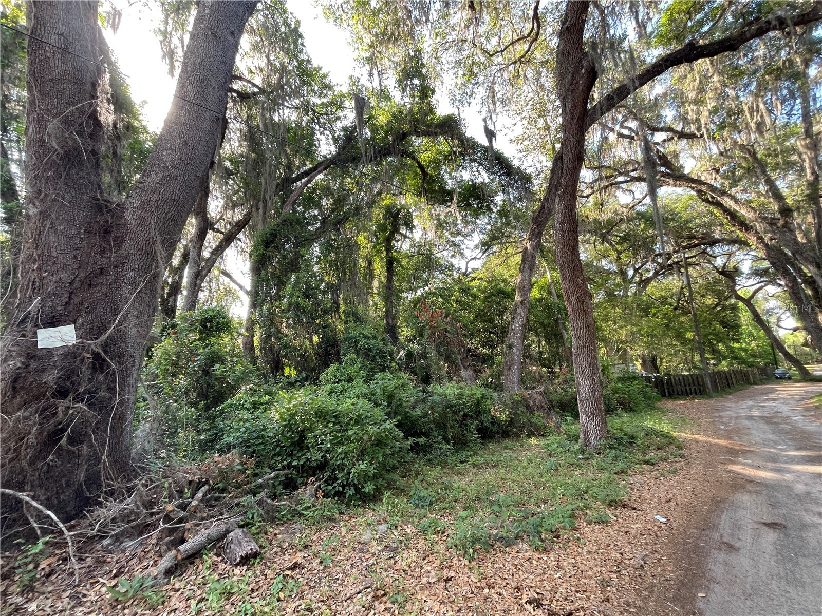 NE 37th Court Citra FL 32113 OM723943 image1