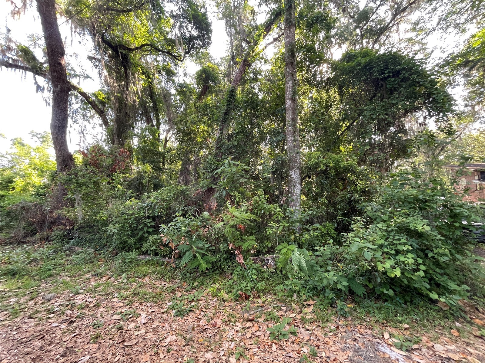 NE 37th Court Citra FL 32113 OM723943 image2