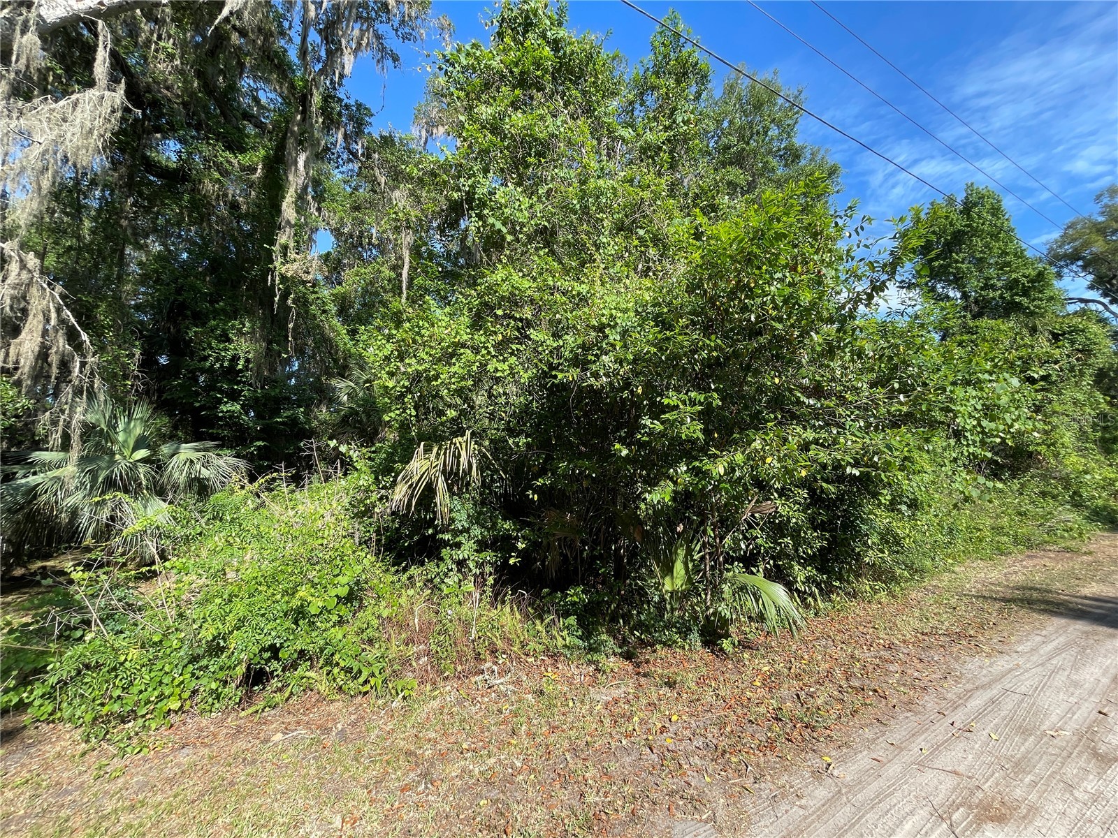 NE 37th Terrace Citra FL 32113 OM723944 image1